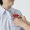 “무조건 시댁 먼저?…어버이날 각자 집 가는 것 이상한가요?”[이슈픽]