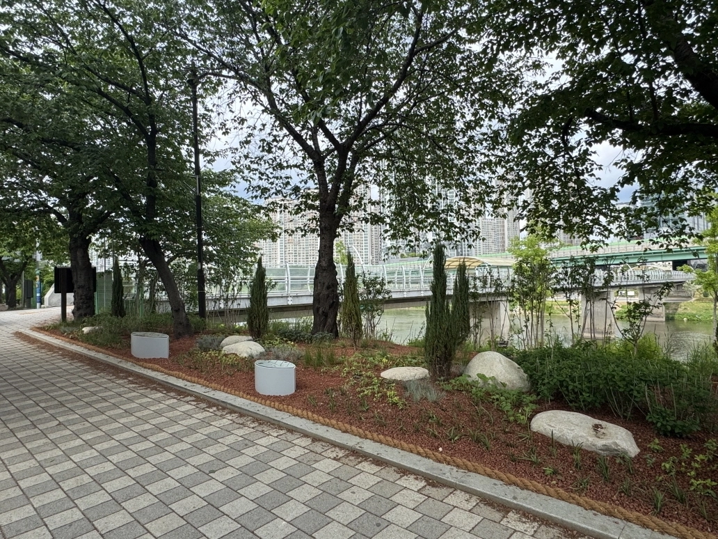 생태복원 사업 마친 안양천