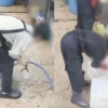 ‘쓰레기 얼음 재사용’ 광장시장 식당, 영업정지 없다…“과태료 처분만” 왜?