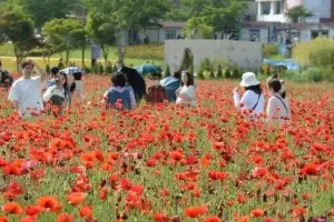 6000만 송이 ‘봄꽃의 유혹’… 울산 태화강 국가정원 봄축제 15일 개막