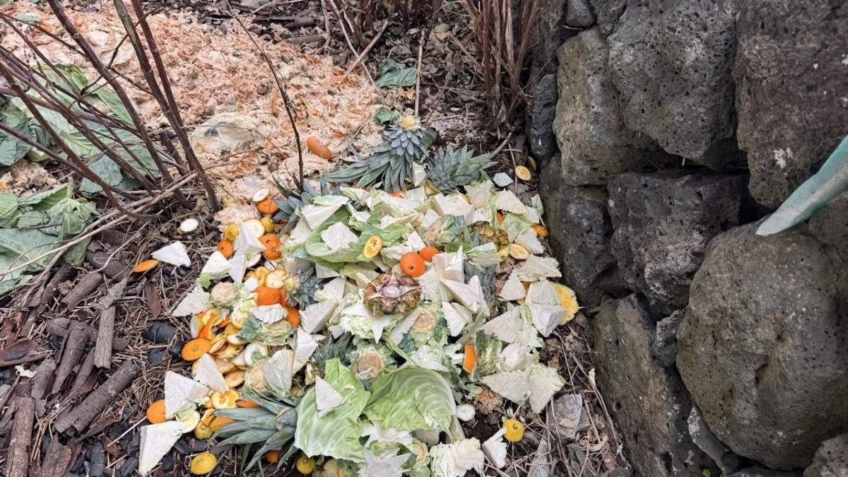 지역특산주 제조에 수입산 과실을 투입하고 껍질을 건물 외부에 버린 모습. 제주도자치경찰단 제공