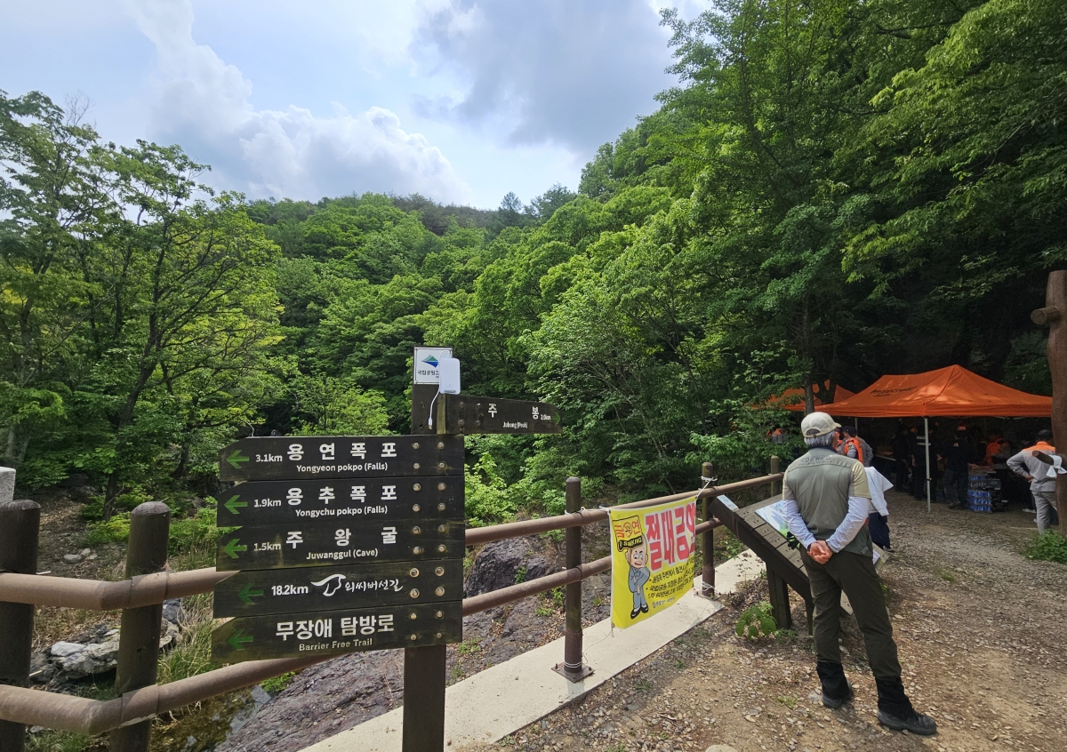 주왕산 기암교에서 바라본 주봉 등산로