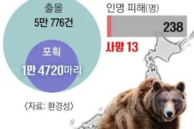 일본 뒤흔드는 ‘곰 공포’… 출몰·포획 모두 역대 최대