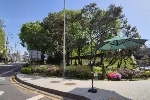 서대문구 연희IC 교통섬 ‘수국정원’ 활짝
