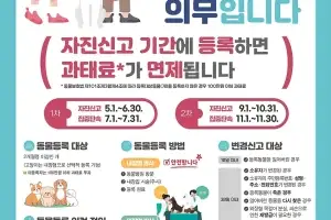 종로구, 다음달까지 반려동물 등록 자진신고 받는다