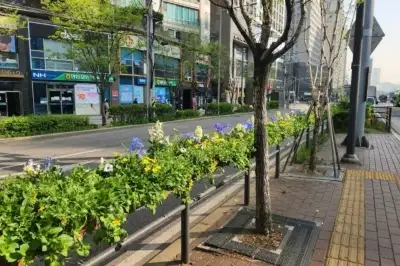 구로구, 봄꽃·걸이화분으로 도심 단장