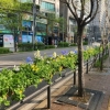 구로구, 봄꽃·걸이화분으로 도심 단장