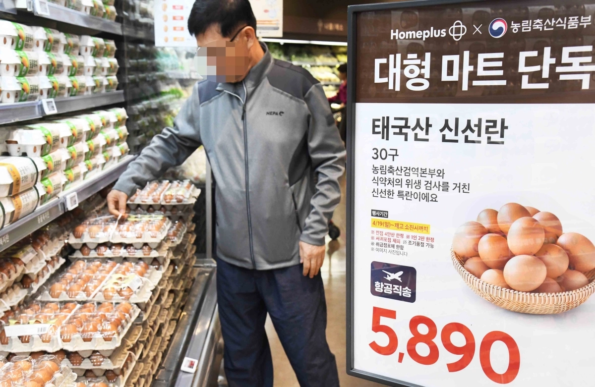 한 소비자가 서울 등촌동 ‘홈플러스 메가 푸드 마켓 라이브’ 강서점 계란 매대에서 태국산 신선란을 살펴보고 있다. 홈플러스 제공