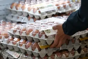 “근거 없이 계란값 결정”…공정위, 산란계협회 과징금 6억
