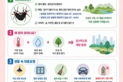 여름 불청객 ‘러브버그’ 미리 잡는다…영등포구, 서식지부터 관리