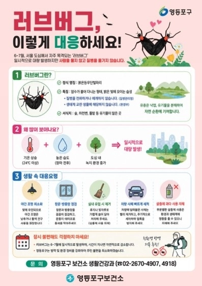 러그버그 대처 안내문. 영등포구 제공