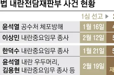 “계엄 판단 법적 통일성 부여” vs “재판 업무 쏠림에 부하 커져”