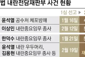“계엄 판단 법적 통일성 부여” vs “재판 업무 쏠림에 부하 커져”