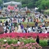 300만 송이 ‘장미의 유혹’… 울산대공원 장미축제 20일 ‘팡파르’