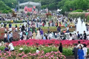 300만 송이 ‘장미의 유혹’… 울산대공원 장미축제 20일 ‘팡파르’