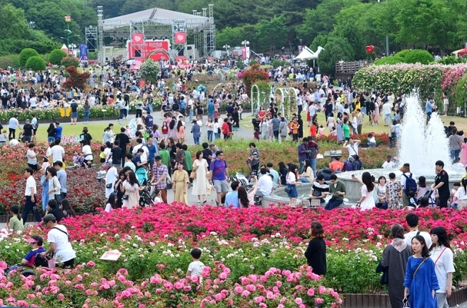 울산대공원 장미축제. 서울신문DB