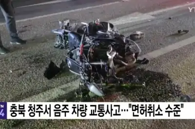 한밤중 충돌사고 오토바이 20대 끝내 숨져… 만취 승용차 30대 현행범 체포