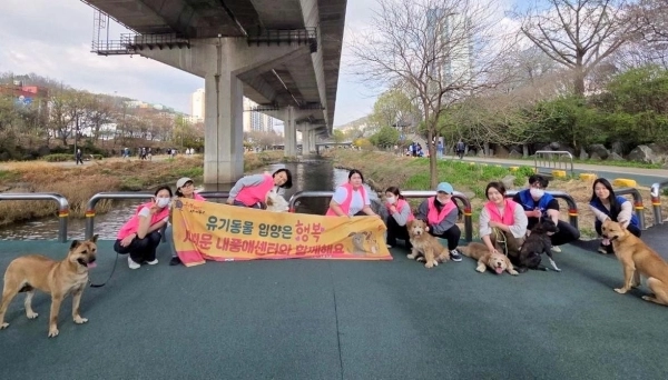 강북삼성병원 간호사들이 지난 3일 유기견과 함께 홍제천변을 산책한 뒤 기념사진을 찍고 있다. 서대문구 제공