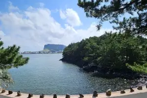 제주 최초 습지보호지역 성산 오조리 연안습지… ‘국가해양생태공원’ 지정 추진