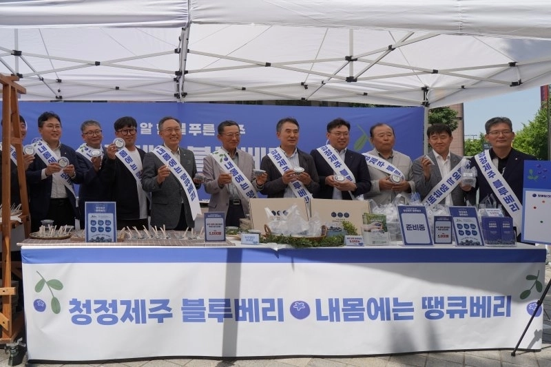 (사진=제주특별자치도 제공)