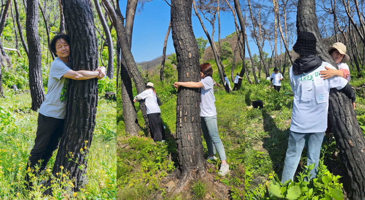 산불 피해를 입은 나무를 안아주는 ‘트리허그’ 행사 참여자들. 한국임업진흥원 제공