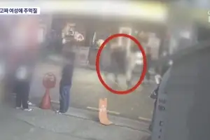 “길 가던 여성에 주먹 날려” 20대男, 강남 한복판서 묻지마 폭행…시민들이 제압