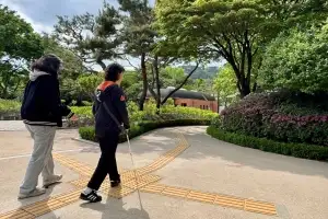 무궁화동산에 점자블록…종로구, 시각장애 학생 보행환경 개선