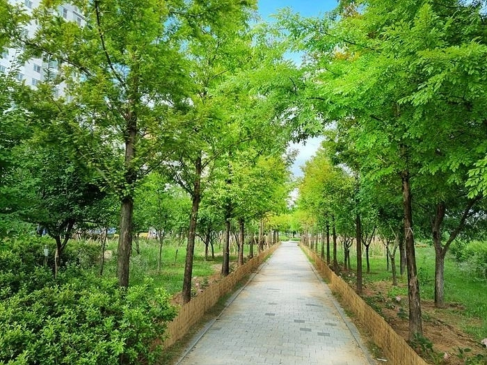 충북 증평군 송산공원에 조성된 ‘도시바람길 숲’. 충북도 제공