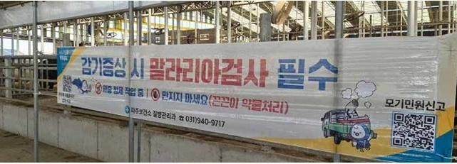 파주시 조리읍 한 농장에 설치된 끈끈이 현수막. 파주시 제공