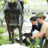 제주포럼에 ‘군마 레클리스’ 특별세션… 오 지사, 한국마사회 제주 이전 제안