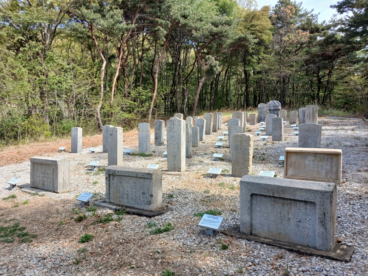교동향교 곁 비석 거리에 선정비가 줄지어 있다.