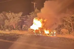 밤길 달리다 코끼리에 ‘쾅’ 1명 사망·차량 전소… 태국 고속도로 이례적 사고