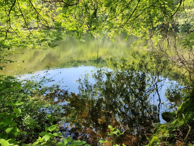 “사라지는 습지를 지킨다”… ‘물찻오름’ 제주도 제1호 습지보호지역 지정