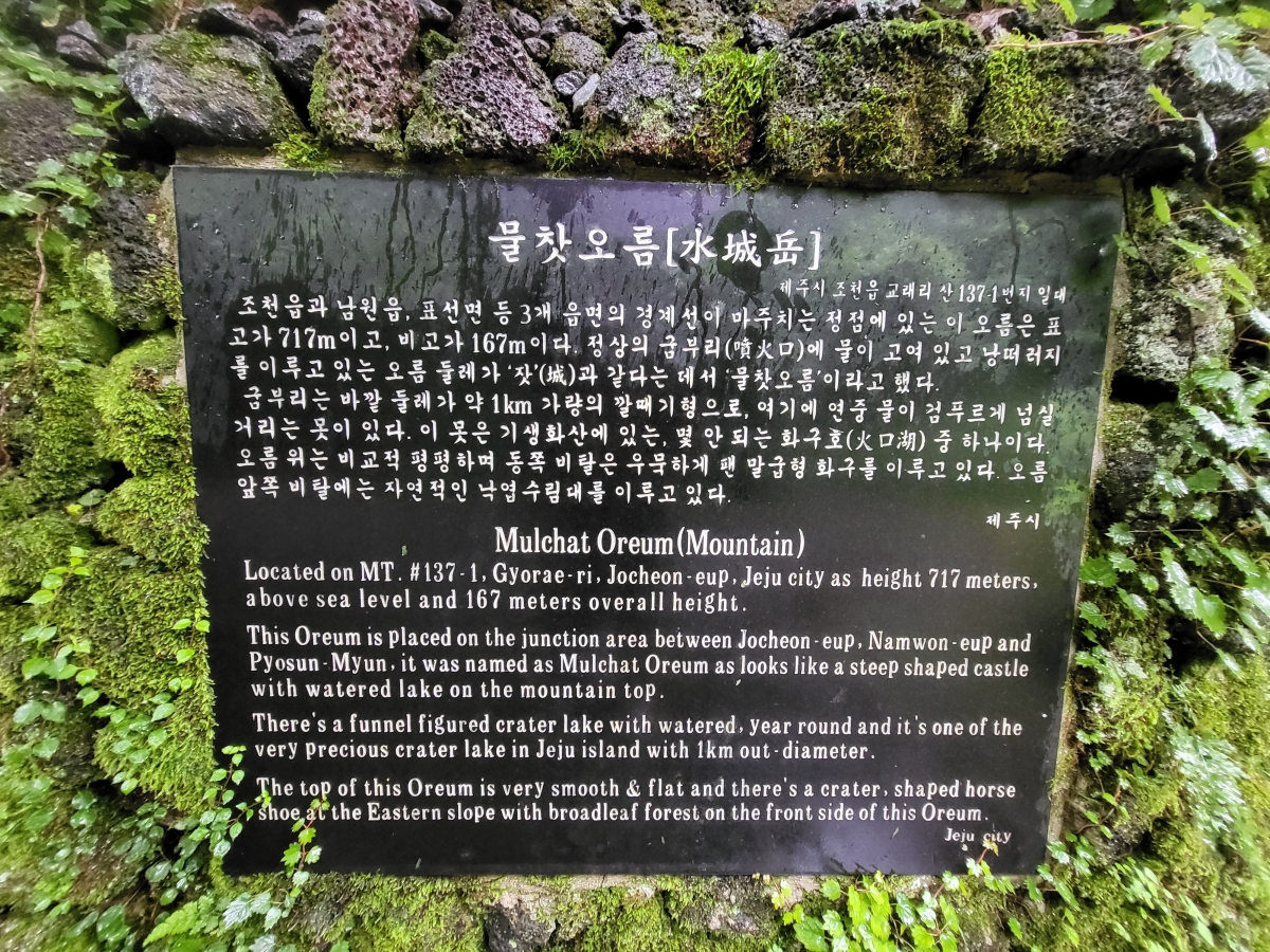 조천읍 교래리 사려니숲길 내 물찻오름은 2008년부터 자연휴식년제가 적용돼 일반인 출입이 제한돼 왔다. 제주 강동삼 기자
