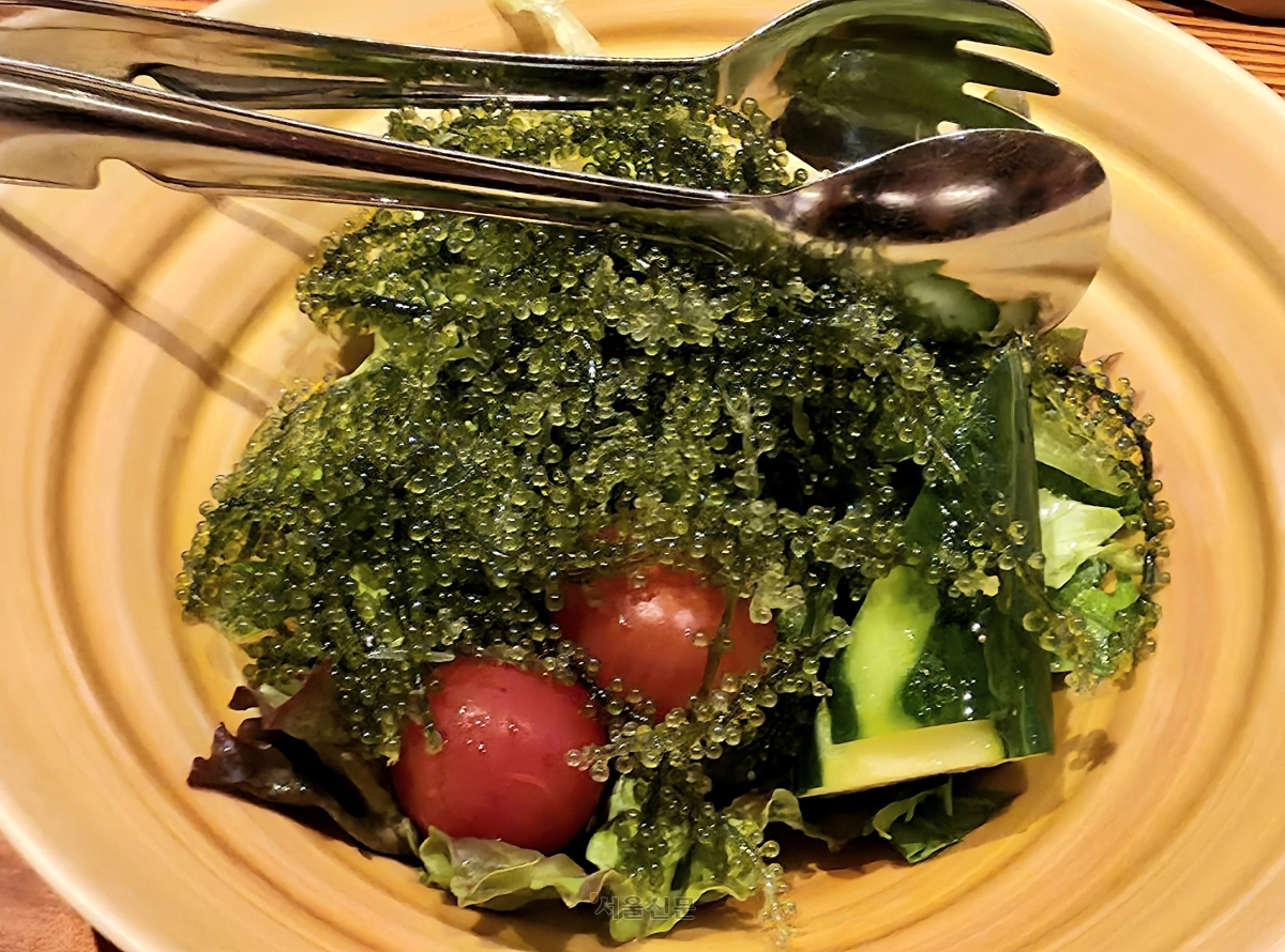 오키나와 특산물인 우미부도(바다포도). 비린내 탓에 그냥 먹기는 힘들고 드레싱을 올려 먹어야 한다.