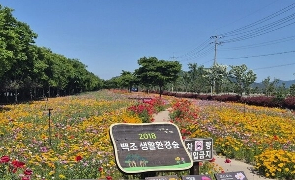 진도군 백조 생활환경숲.