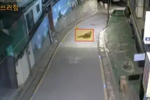 서울 중구, 노후 CCTV 75대 ‘800만 화소 AI 카메라’로 바꾼다
