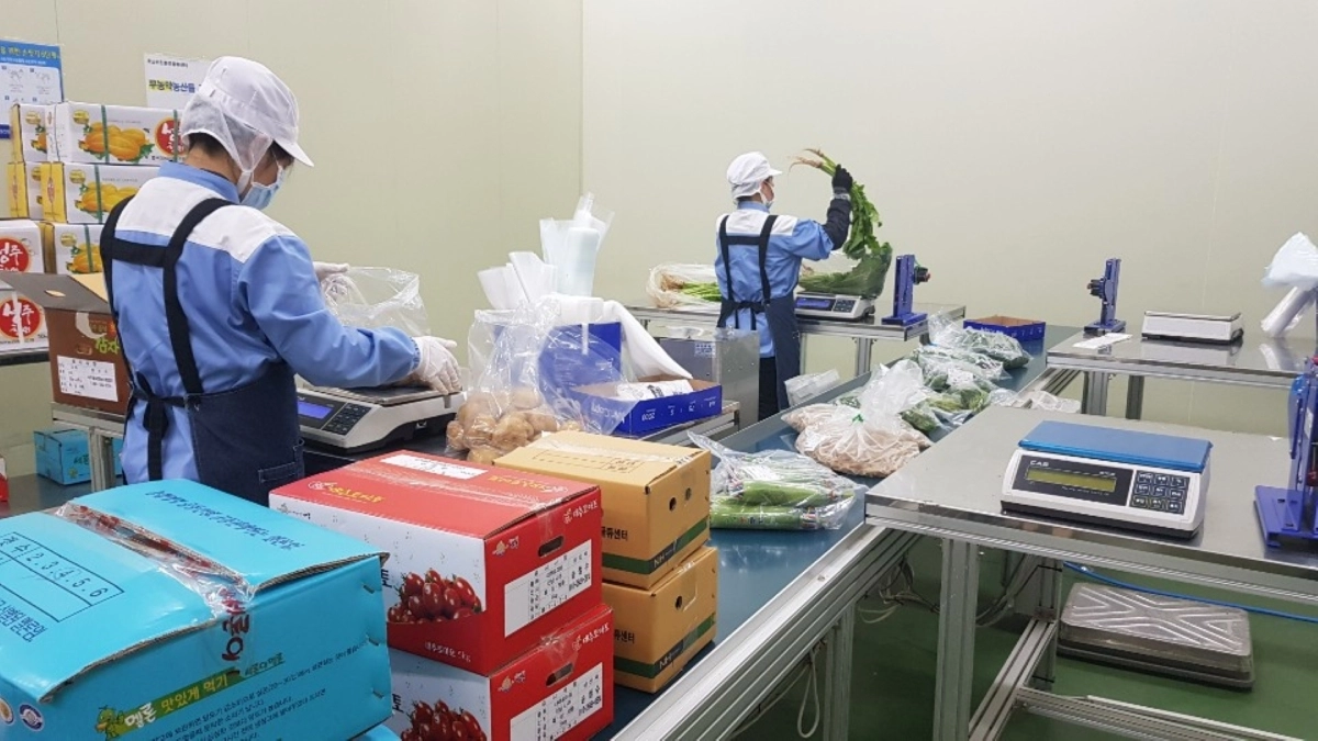 전남 지역 친환경 농가들이 친환경 농산물 소포장 작업을 하고 있다.