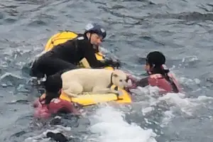 손 물려도 “살려야 한다”… 절벽 아래 추락한 반려견 구조한 해경