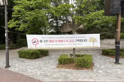 서울시, ‘집비둘기 먹이주기’ 금지구역 집중 단속