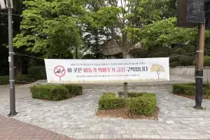 서울시, ‘집비둘기 먹이주기’ 금지구역 집중 단속