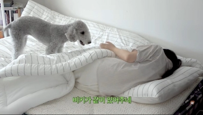배우 엄지원이 유튜브 촬영 중 쓰러진 제작진을 반려견 침대로 데려갔다는 영상에 대해 해명했다. 유튜브 ‘엄지원 Umjeewon’ 캡처