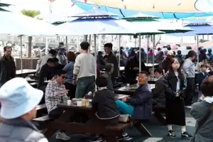 ‘반값여행 원조 전남 강진군’···올해 1만 6292팀 방문
