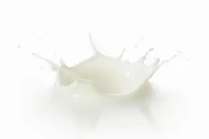 6월 1일 ‘세계 우유의 날’ 25년째 맞아…국내 낙농 산업 현황과 과제