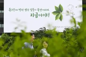 초록빛 여름 찾아온 광화문글판