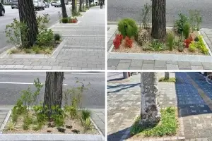 서대문구, 생활밀착형 녹지공간 ‘한뼘정원’
