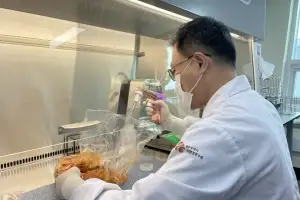 광주지역 상반기 노로바이러스 검사 결과 ‘안전’
