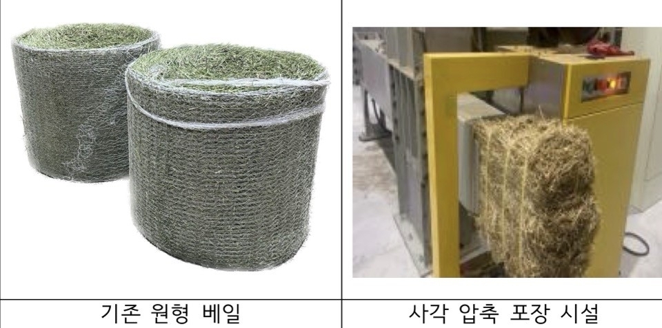 기존 둥근 형태의 가축사료용 건초와 새로 개발된 사각 압축 건초. 농진청 제공