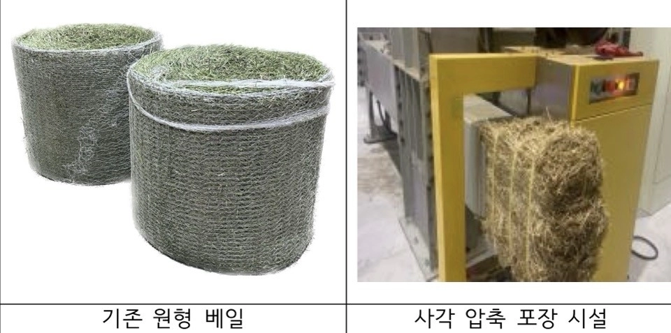 기존 둥근 형태의 가축사료용 건초와 새로 개발된 사각 압축 건초. 농진청 제공