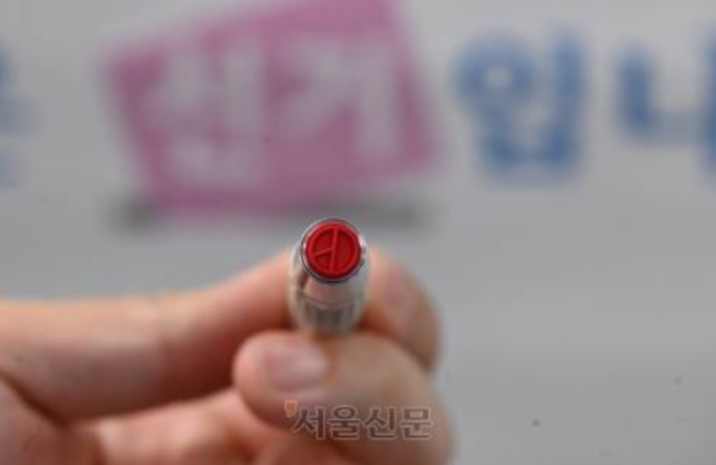 투표 이미지 사진. 서울신문DB